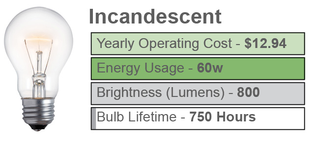 Light Bulb Comparison Incandescent
